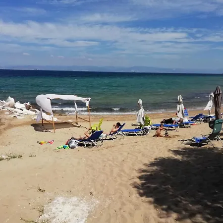 אתר נופש Marti 3*