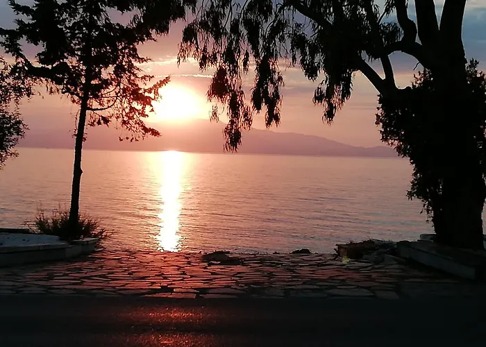 Complex Marti Skala Sotiros